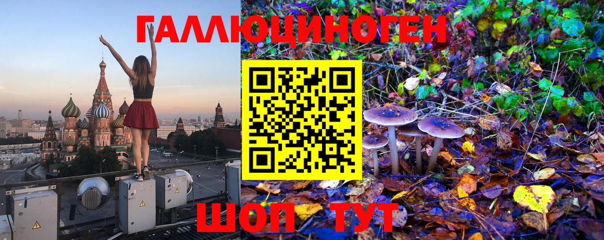 Невинномысск  Псилоцибиновые грибы GOLDEN TEACHER  цены наркотик  Вход с VPN 
